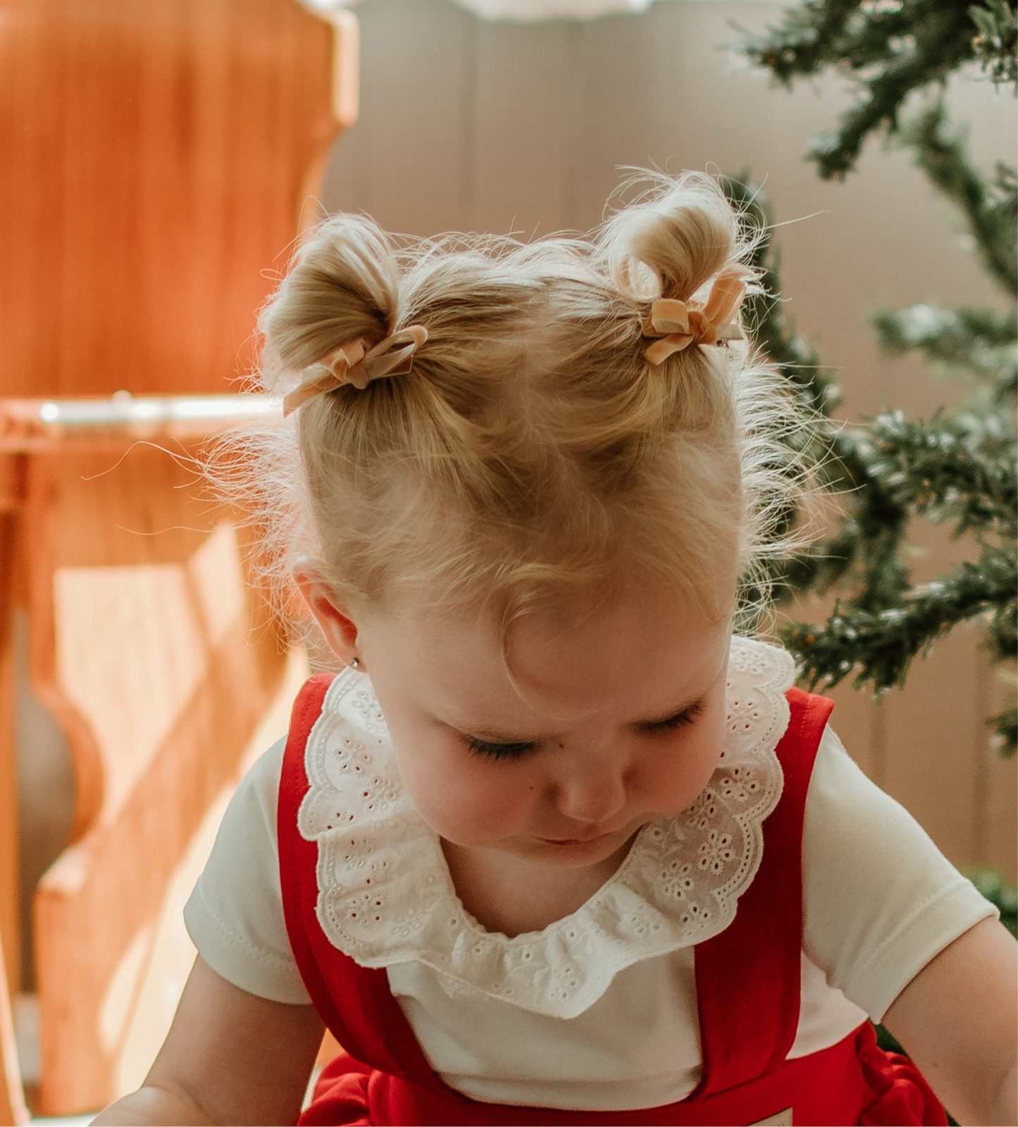 Velvet ribbon bows