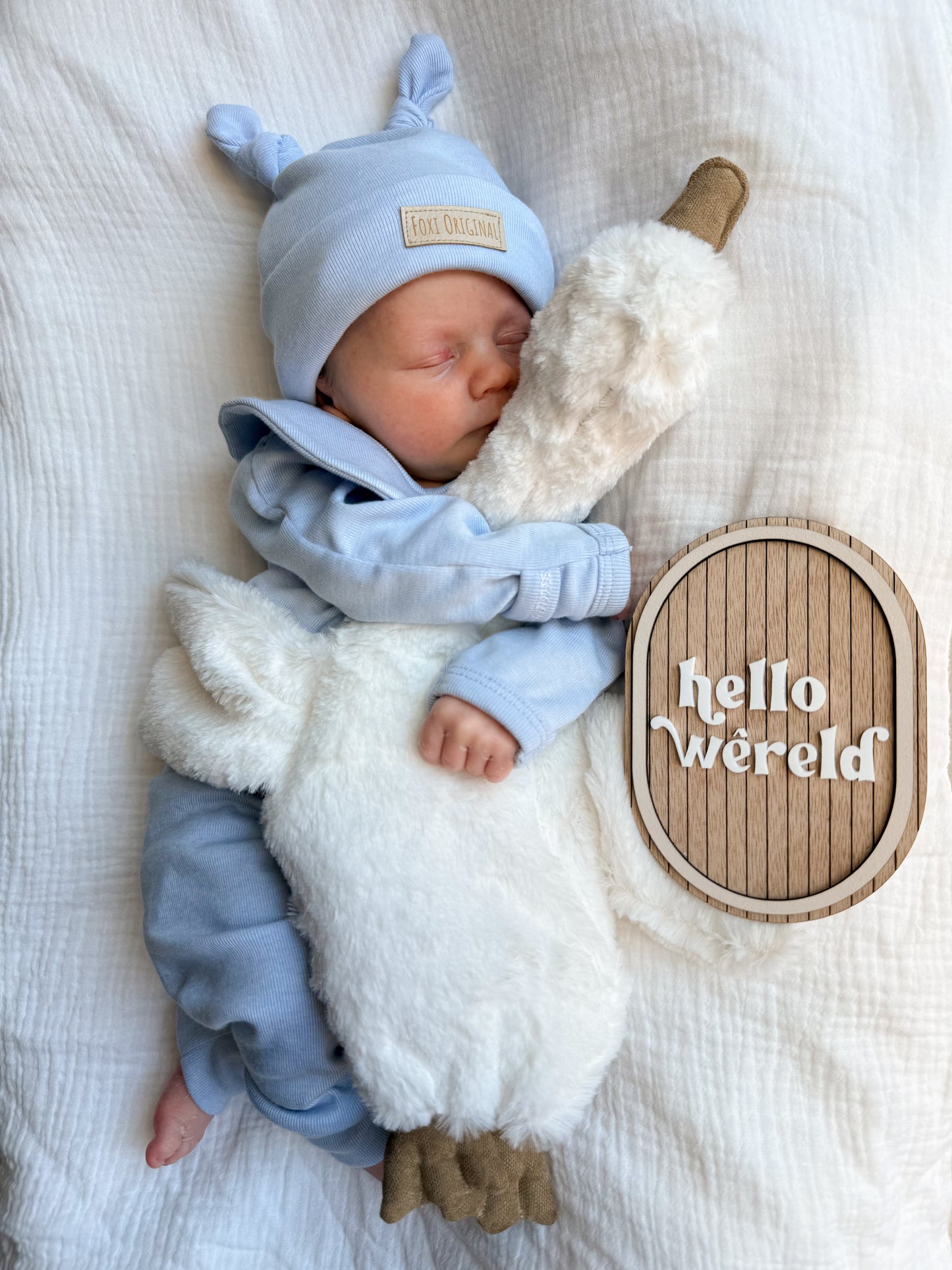 Birth Announcement Discs