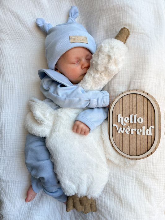 Birth Announcement Discs